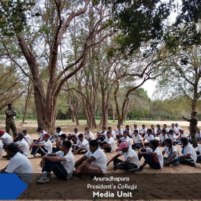 502475688 715063527772540 3737573209617047177 N